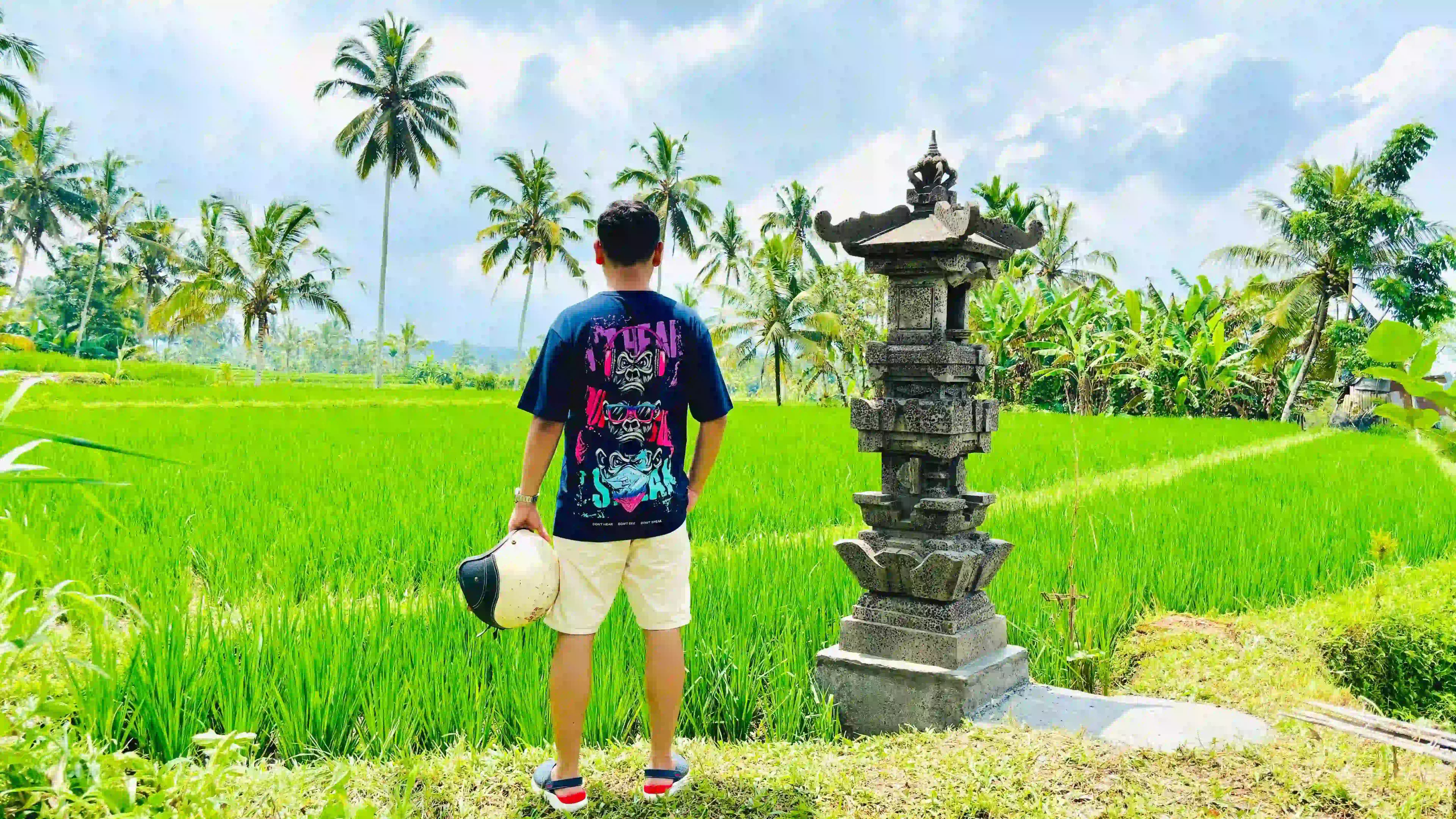 Bali rice field